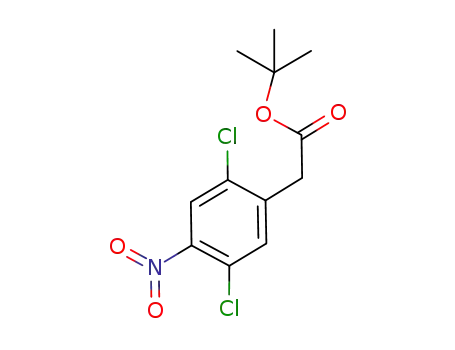 (2,5-dichloro-4-nitrophenyl)acetic acid tert-butyl ester