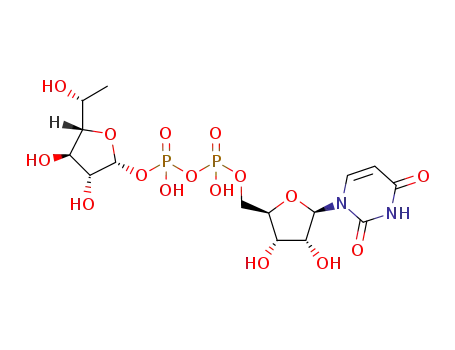 uridine-5'-diphospho-6-deoxy-D-galactofuranose