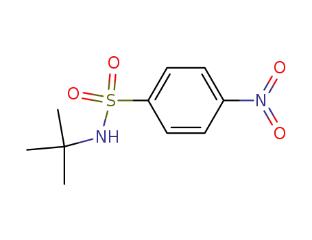 Molecular Structure of 49690-09-7 (N-tert-Butyl 4-Nitrophenylsulfonamide)