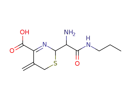 2-(Amino-propylcarbamoyl-methyl)-5-methylene-5,6-dihydro-2H-[1,3]thiazine-4-carboxylic acid