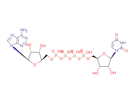P1-5'-O-adenosine-P4-5'-O-uridine tetraphosphate