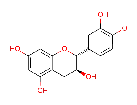 catechin radical