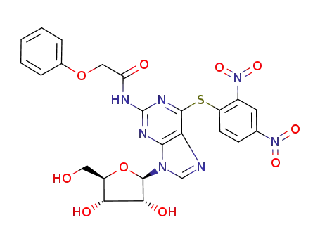 N2-phenoxyacetyl-S6-(2,4-dinitrophenyl)-6-thioguanosine