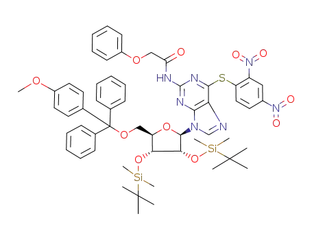 N-[9-{3,4-bis-(tert-butyl-dimethyl-silanyloxy)-5-[(4-methoxy-phenyl)-diphenyl-methoxymethyl]-tetrahydro-furan-2-yl}-6-(2,4-dinitro-phenylsulfanyl)-9H-purin-2-yl]-2-phenoxy-acetamide