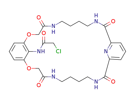 2-chloro-N-{4,11,17,24-tetraoxo-2,26-dioxa-5,10,18,23,32-pentaazatricyclo[25.3.1.112,16]dotriaconta-1-(31),12(32),13,15,27,29-hexaen-31-yl}acetamide
