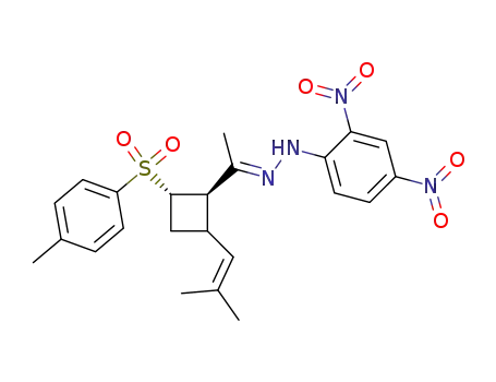 N-(2,4-dinitro-phenyl)-N'-{1-[2-(2-methyl-propenyl)-4-(toluene-4-sulfonyl)-cyclobutyl]-ethylidene}-hydrazine
