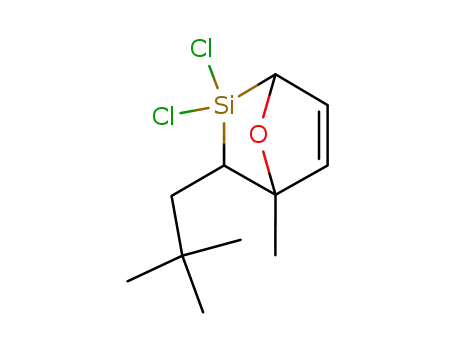 exo/endo-2,2-Dichlor-4-methyl-3-neopentyl-7-oxa-2-silabicyclo<2.2.1>hex-5-en