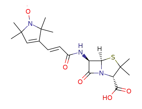6-N-[3-(2,2,5,5-tetramethyl-1-oxypyrrolin-3-yl)-propen-2-oyl]penicillanic acid