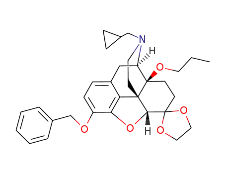 3-benzyIoxy-17-cyclopropylmethyl-6-(1',3'-dioxolan-2'yl)-14-propoxy-4,5α-epoxymorphinan