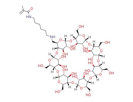 (1-methacrylamidohexyl)amino-6-deoxy-β-cyclodextrin