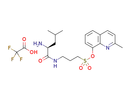 2-methylquinolin-8-yl [(L-leucyl)amino]propylsulfonate trifluoroacetate