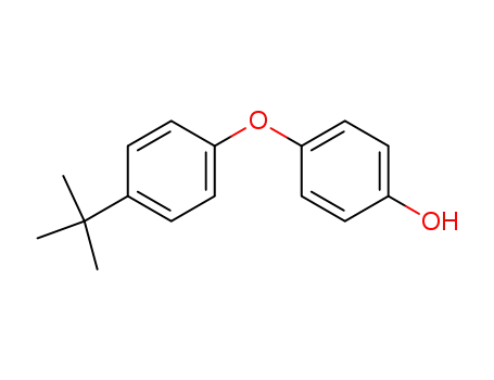 Molecular Structure of 39064-93-2 (Phenol, 4-[4-(1,1-dimethylethyl)phenoxy]-)