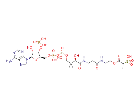 2-sulfonatepropionyloxa(dethia)CoA