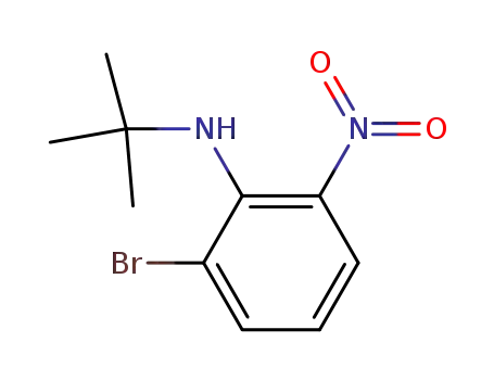 Molecular Structure of 183801-89-0 (Benzenamine, 2-bromo-N-(1,1-dimethylethyl)-6-nitro-)
