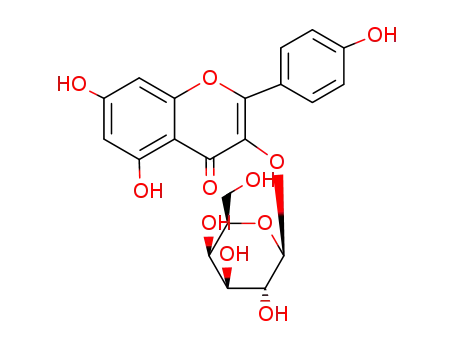 kaempferol 3-O-galactoside