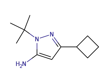 Molecular Structure of 817641-86-4 (1-Tert-Butyl-3-Cyclobutyl-1H-pyrazol-5-amine)