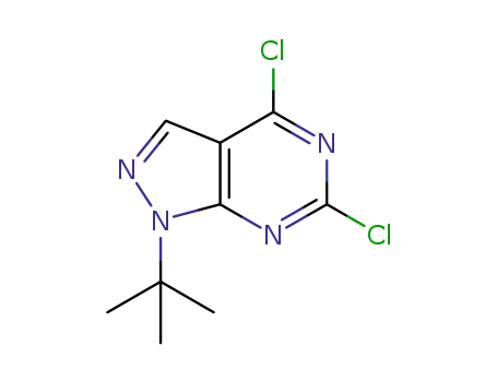 Molecular Structure of 864292-49-9 (1-tert-butyl-4,6-dichloro-1H-pyrazolo[3,4-d]pyrimidine)
