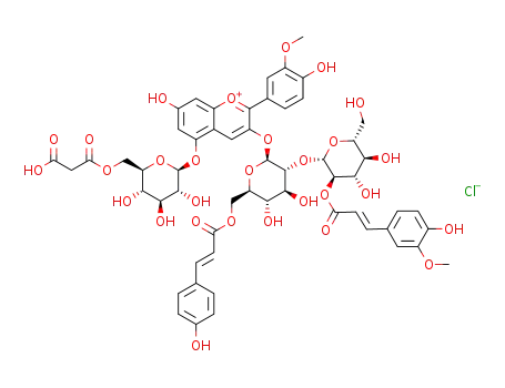 peonidin 3-O-[2-O-(2-O-(trans-feruloyl)-glucosyl)-6-O-(trans-p-coumaroyl)-glucoside]-5-O-[6-O-(malonyl)-glucoside]