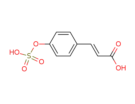 trans-p-coumaric acid-4-O-sulfate