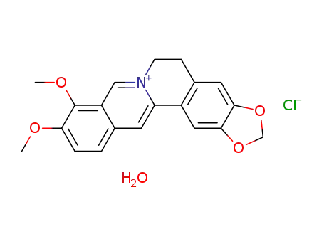 Molecular Structure of 68030-18-2 (Benzo(g)-1,3-benzodioxolo(5,6-a)quinolizinium, 5,6-dihydro-9,10-dimethoxy-, chloride, monohydrate)