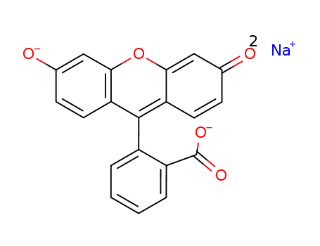 fluorescein disodium salt