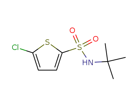 5-Chlorothiophene-2-sulfonic acid tert-butylamide cas no. 155731-14-9 97%
