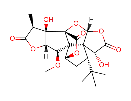 1-O-methylginkgolide B