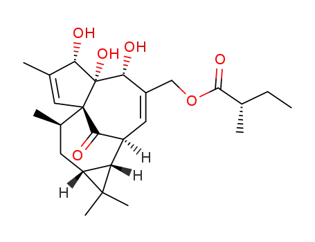 20-O-(S)-(2'-Methyl)butyryl-ingenol