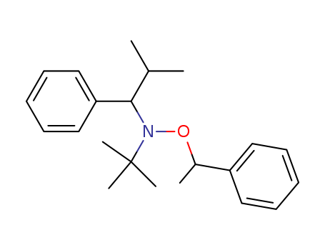 N-tert-Butyl-N-(2-Methyl-1-phenylpropyl)-O-(1-phenylethyl)hydroxylaMine