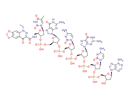 cinoxacin 5'-amino-5'-deoxydTdGdCdGdCdA