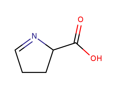 Molecular Structure of 2906-39-0 (3,4-dihydro-2H-pyrrole-2-carboxylic acid)