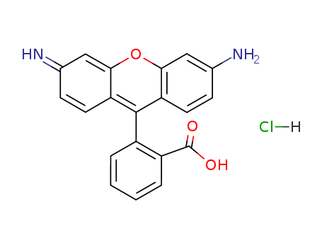 Rhodamine 110 chloride