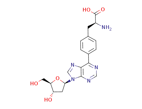 (S)-3-{4-[9-(2-deoxy-β-D-erythro-pentofuranosyl)purin-6-yl]phenyl}-2-aminopropanoic acid