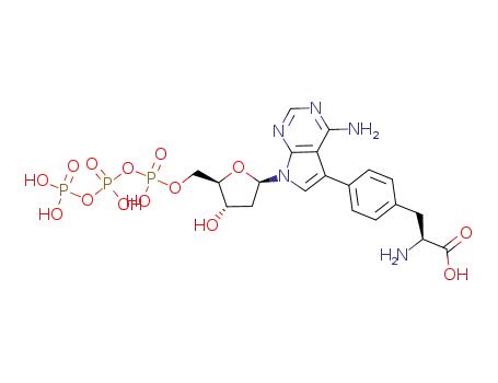 (S)-2-amino-3-{4-[6-amino-9-(2-deoxy-β-D-erythro-pentofuranosyl)-7-deazapurin-7-yl]phenyl}propanoic acid 5'-O-triphosphate