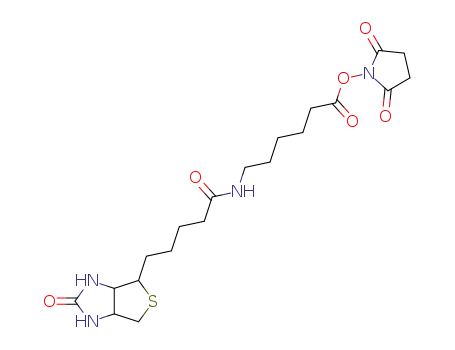 6-[5-(2-oxo-hexahydro-thieno[3,4-d]imidazol-4-yl)-pentanoylamino]-hexanoic acid 2,5-dioxo-pyrrolidin-1-yl ester