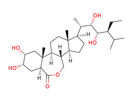 Molecular Structure of 80483-89-2 (22(S),23(S)-Homobrassinolide)