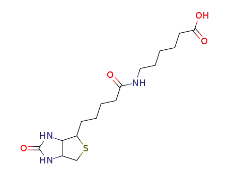 Hexanoic acid,6-[[5-[(3aS,4S,6aR)-hexahydro-2-oxo-1H-thieno[3,4-d]imidazol-4-yl]-1-oxopentyl]amino]-