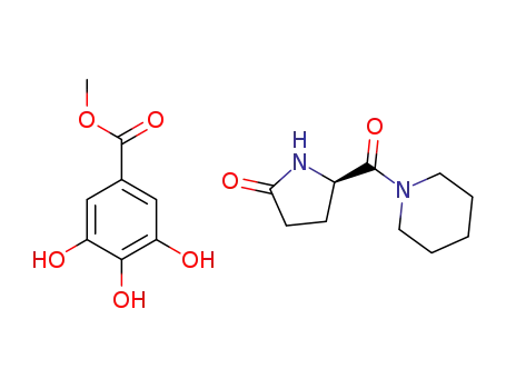 (R)-fasoracetam methyl 3,4,5-trihydroxybenzoate