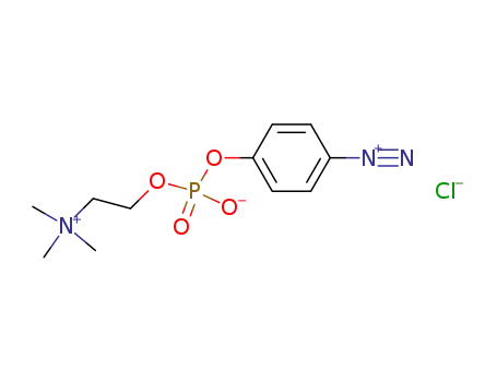 p-diazophenylphosphorylcholine