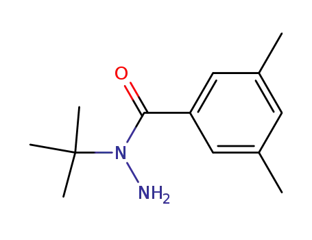 Molecular Structure of 162752-59-2 (Benzoic acid, 3,5-dimethyl-, 1-(1,1-dimethylethyl)hydrazide)