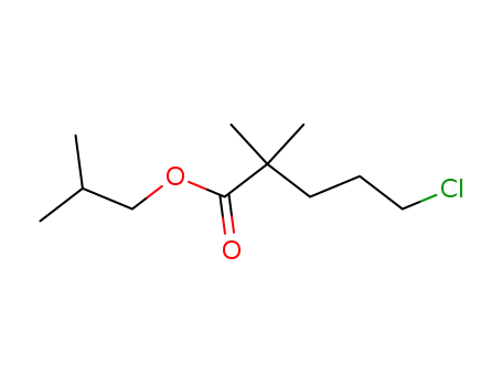Molecular Structure of 109232-37-3 (Isobutyl 5-chloro-2,2-dimethylvalerate)