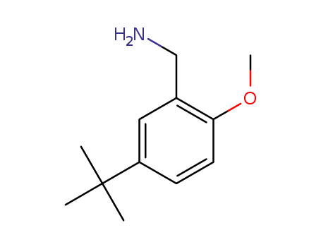 2-methoxy-5-tert-butylbenzylamine