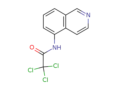 Molecular Structure of 581812-64-8 (Acetamide, 2,2,2-trichloro-N-5-isoquinolinyl-)