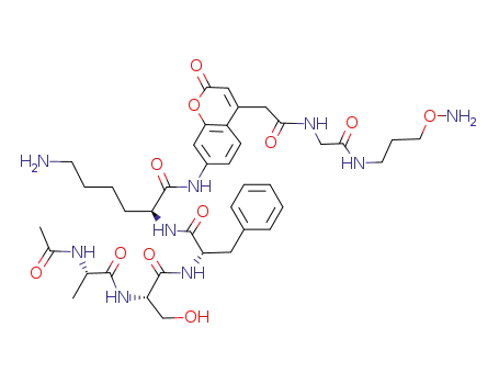 (S)-2-{(S)-2-[(S)-2-((S)-2-Acetylamino-propionylamino)-3-hydroxy-propionylamino]-3-phenyl-propionylamino}-6-amino-hexanoic acid [4-({[(3-aminooxy-propylcarbamoyl)-methyl]-carbamoyl}-methyl)-2-oxo-2H-chromen-7-yl]-amide