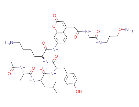 (S)-2-[(S)-2-[(S)-2-((S)-2-Acetylamino-propionylamino)-4-methyl-pentanoylamino]-3-(4-hydroxy-phenyl)-propionylamino]-6-amino-hexanoic acid [4-({[(3-aminooxy-propylcarbamoyl)-methyl]-carbamoyl}-methyl)-2-oxo-2H-chromen-7-yl]-amide