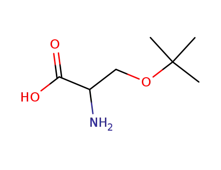 2-amino-3-tert-butoxypropionic acid