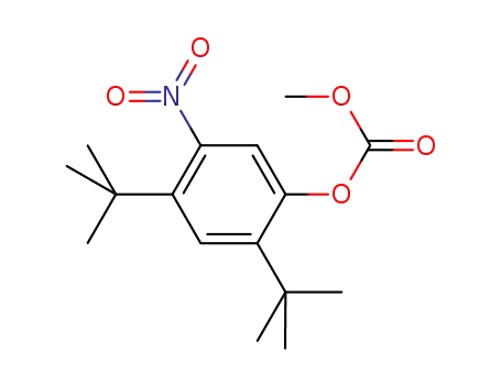 Molecular Structure of 873055-55-1 (2,4-Di-tert-butyl-5-nitrophenyl methyl carbonate)