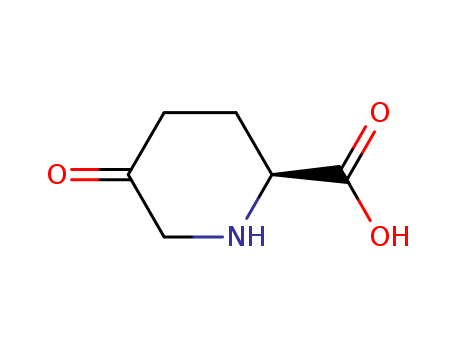 (2S)-5-Oxo-piperidine-2-carboxylic acid(146467-21-2)