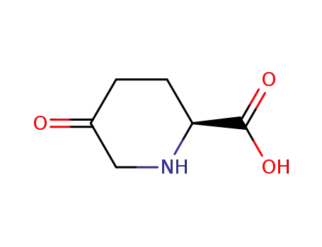 Molecular Structure of 146467-21-2 ((2S)-5-Oxo-piperidine-2-carboxylic acid)