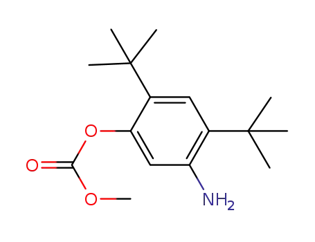 Molecular Structure of 1182822-31-6 (5-amino-2,4-di-tert-butylphenyl methyl carbonate)